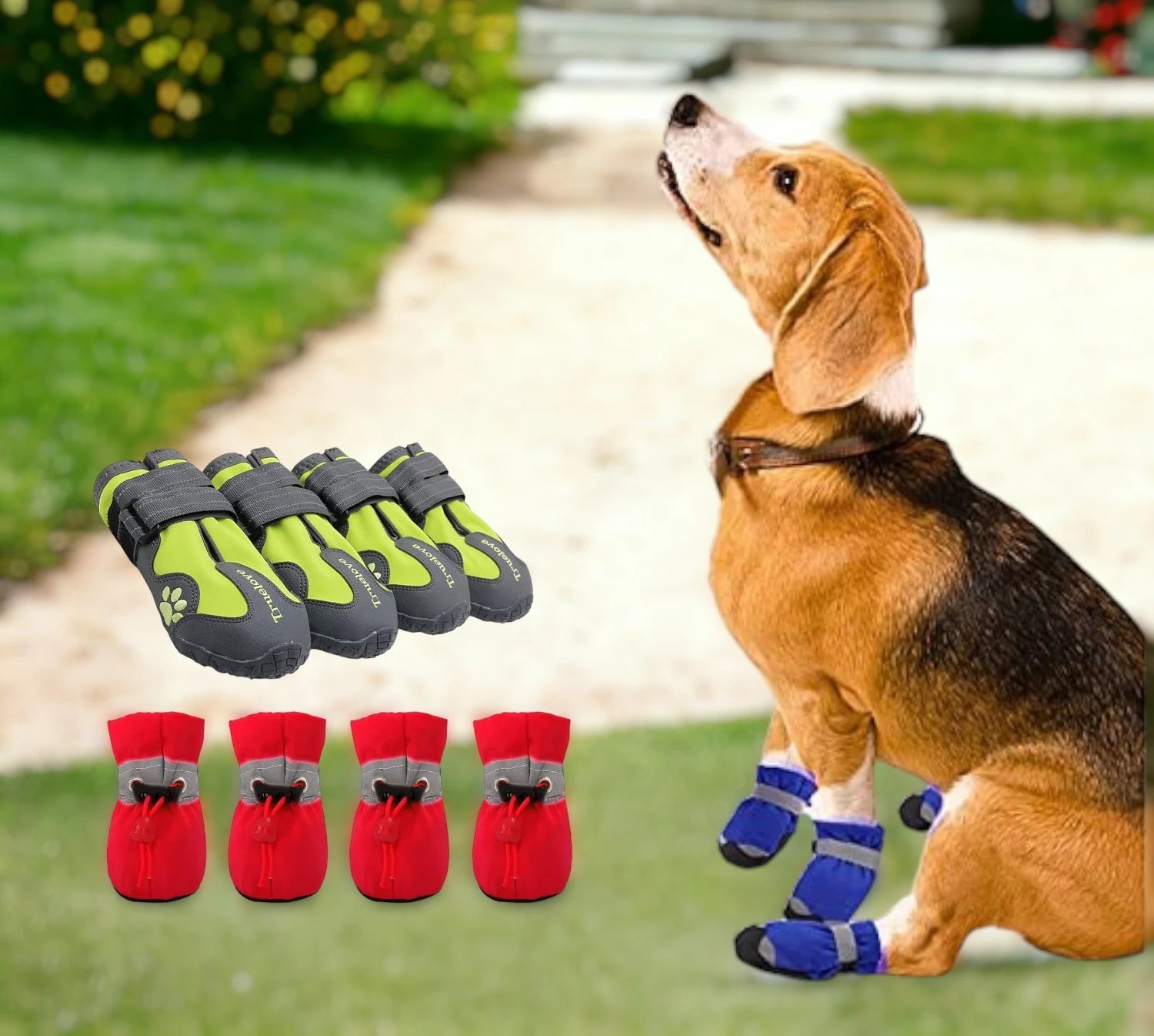 DOG SHOES