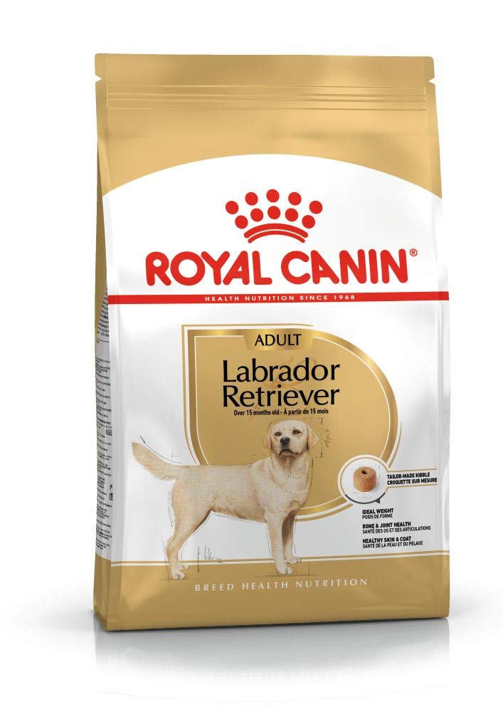 Royal Canin Labrador Adult