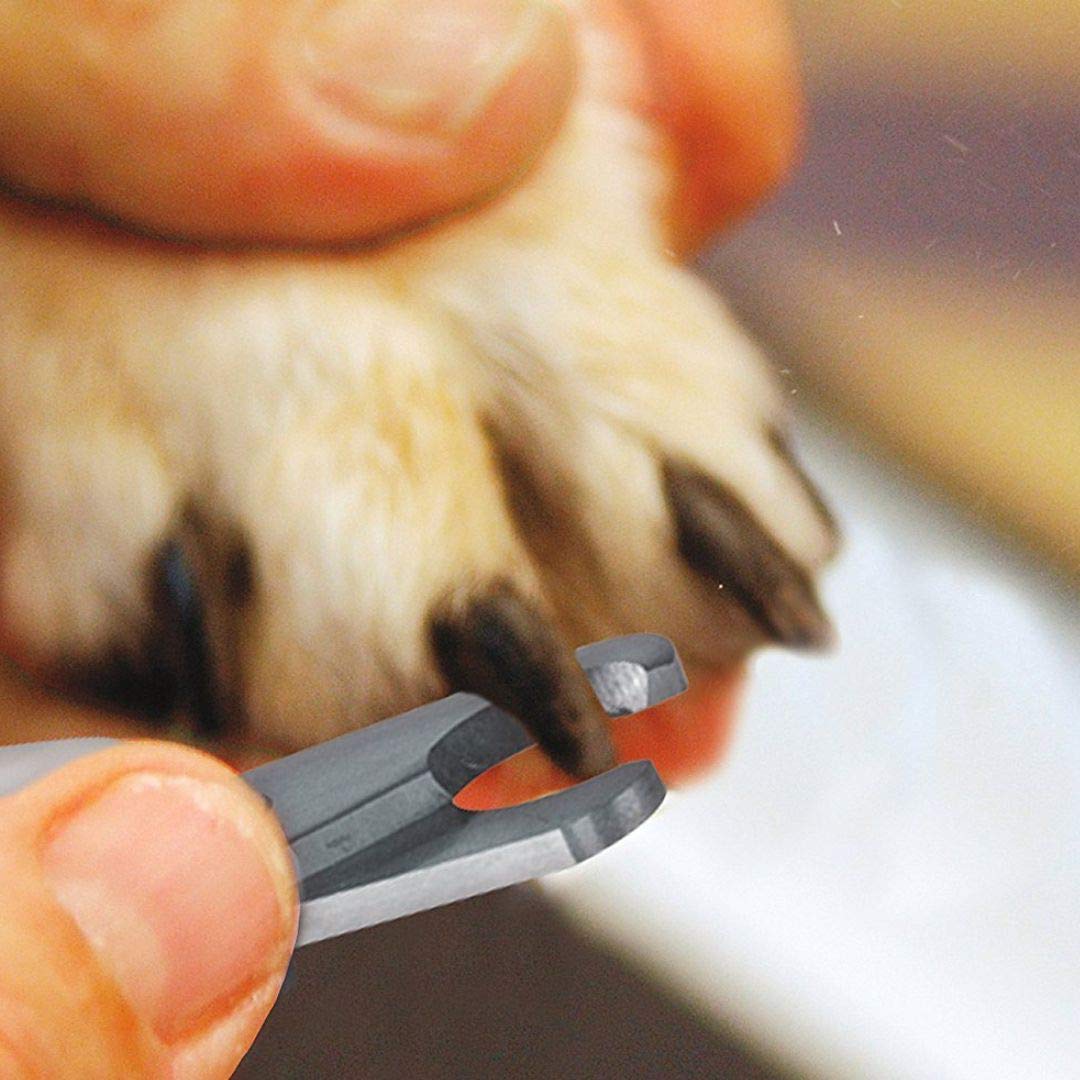 Wahl Powergrip Pet Nail Clipper