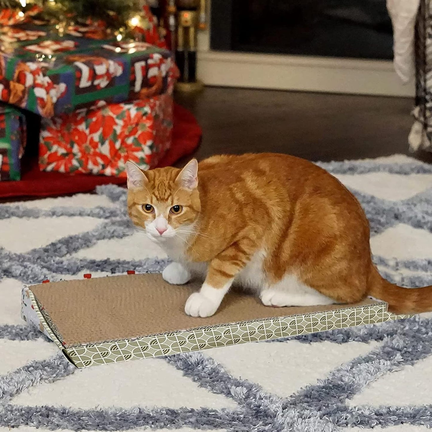 Cat Cardboard Scratcher Flat