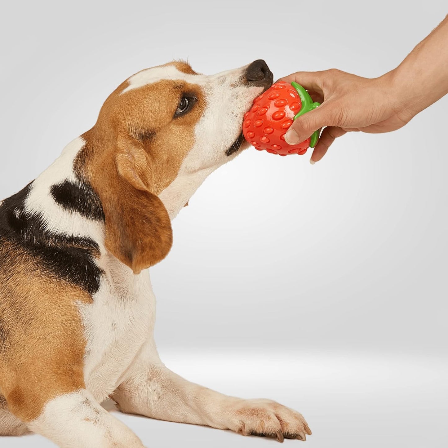 Fofos Tough-Fruit Silent Strawberry Dog Chew Toy