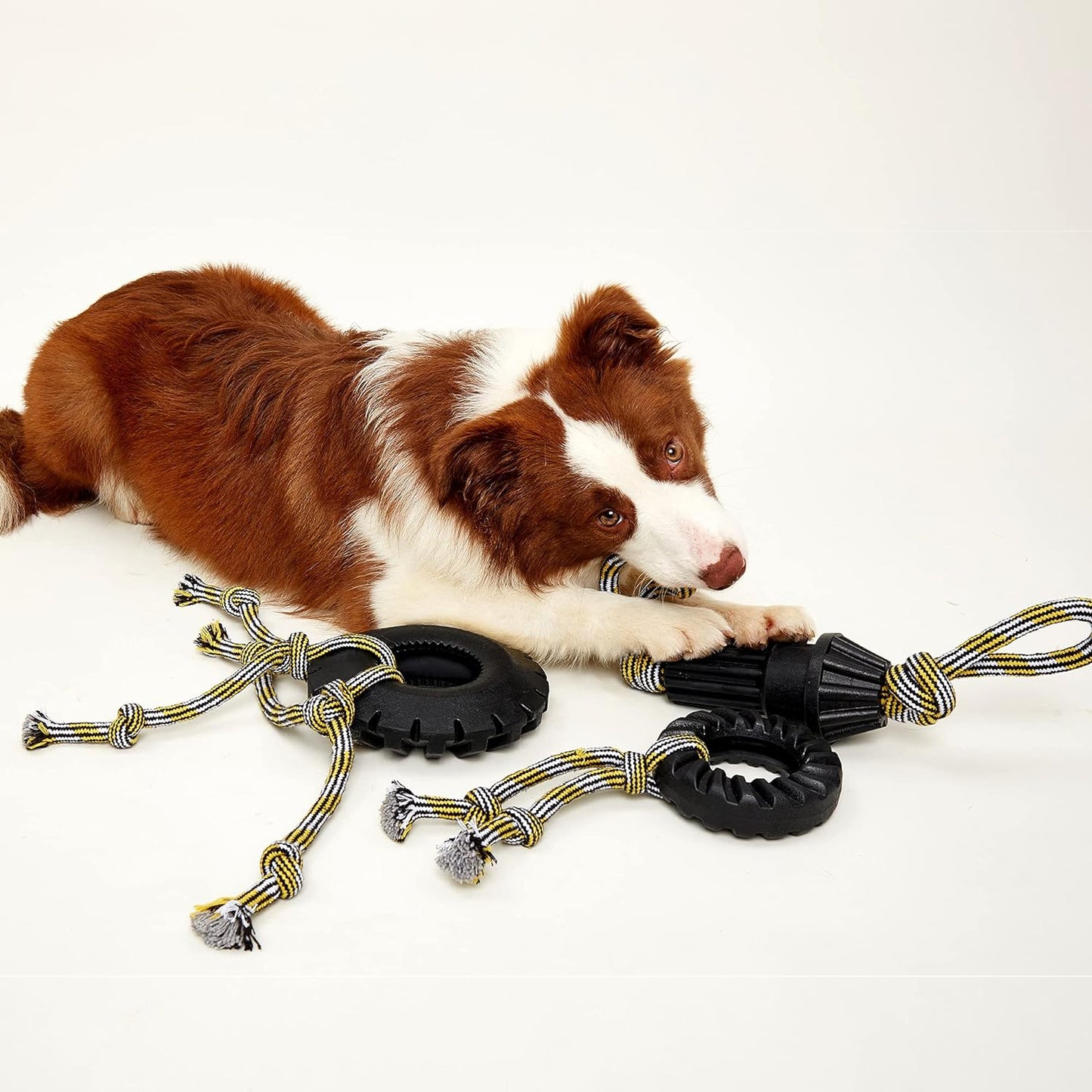 Fofos Extremely Durable Tyre & Rope Dog Chew Toy