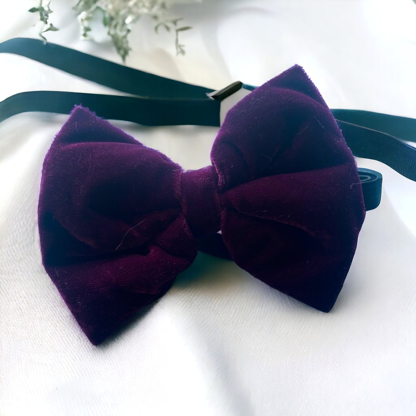 Ck Bow Tie Large Velvet Purple