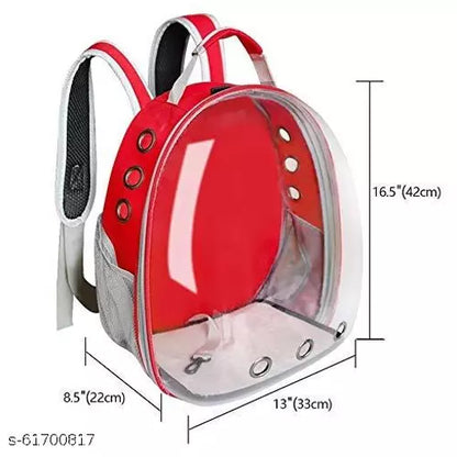 Astronaut Bag Transparent