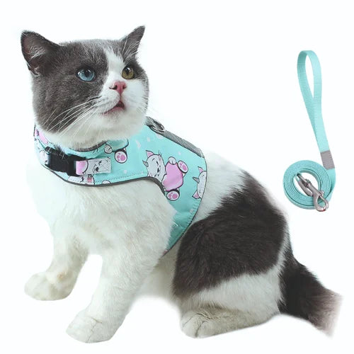 WW TOYBREED CUTE HARNESS WITH LEASH