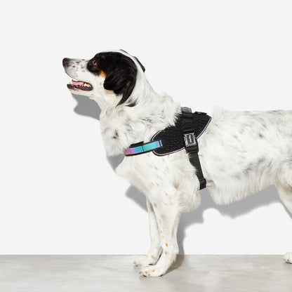 Zeedog Fly Harness