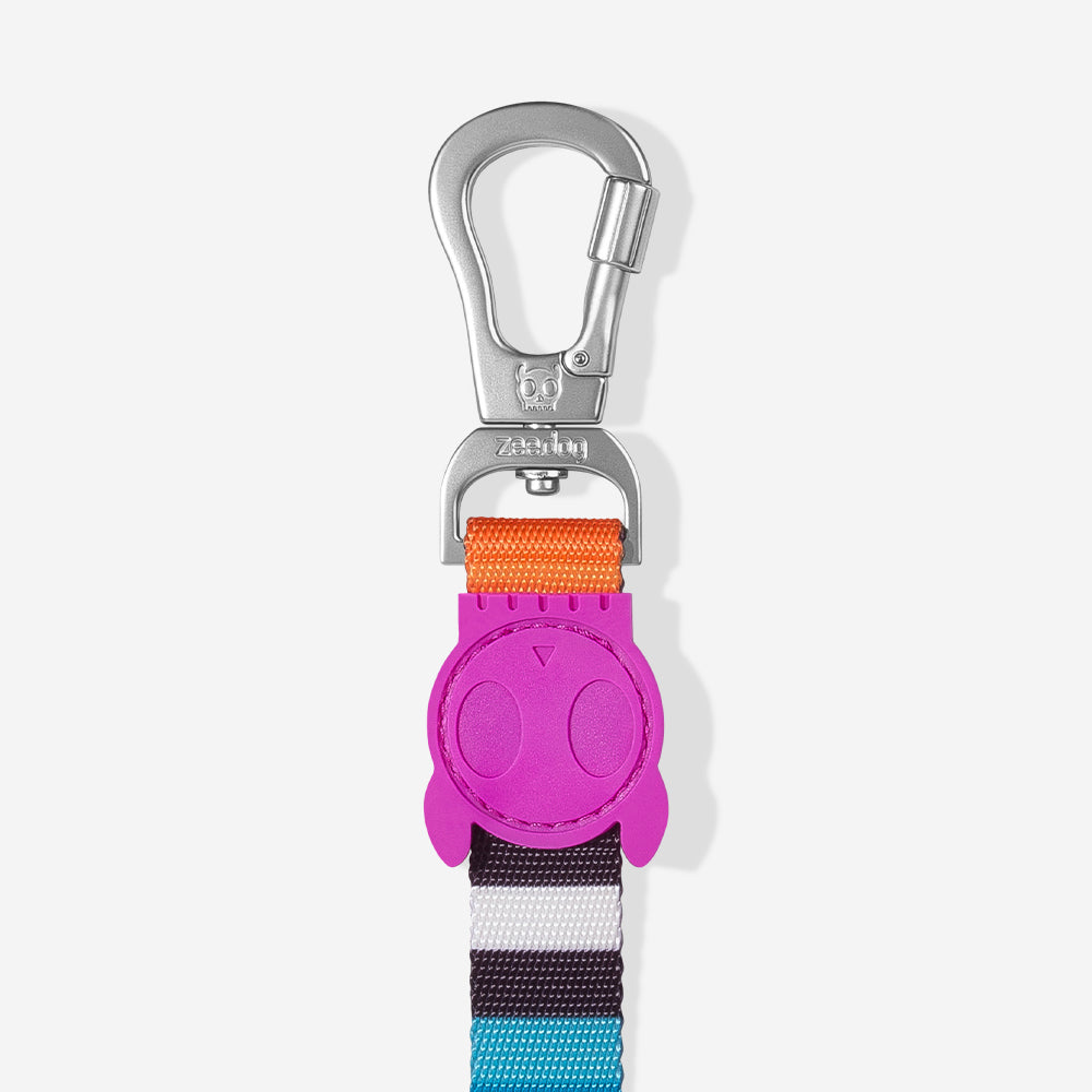 Zeedog Prisma Leash