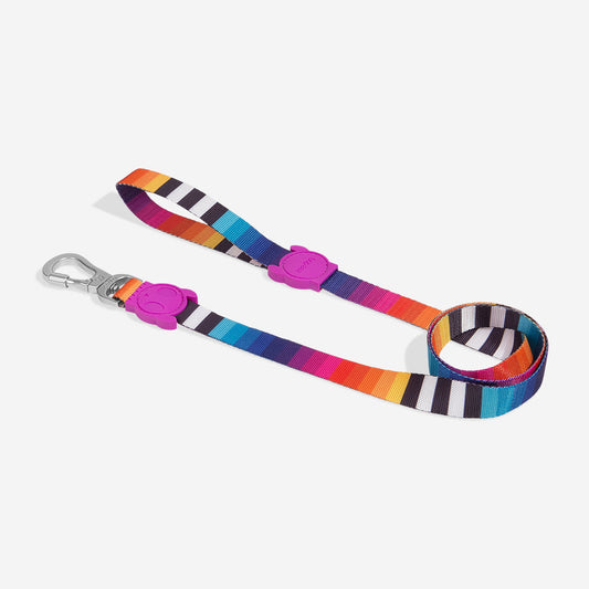 Zeedog Prisma Leash