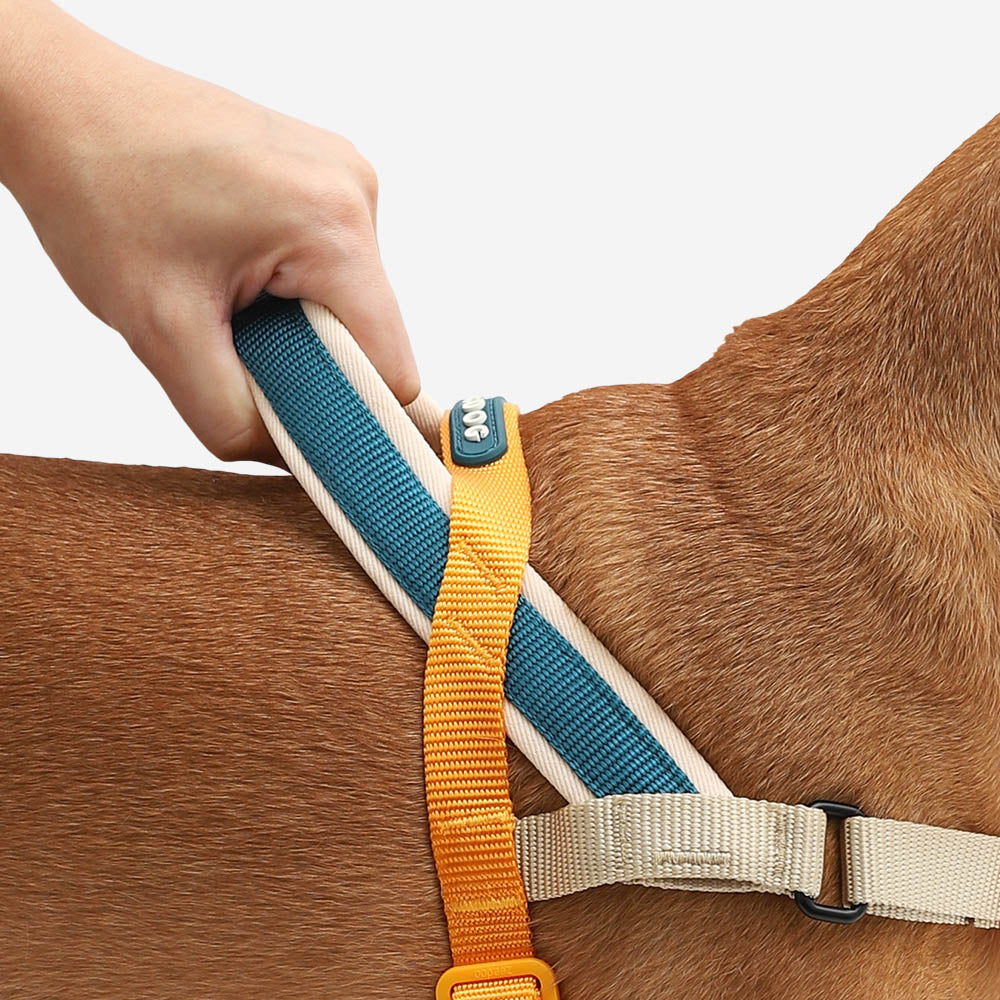 Zeedog Anti-Pull Harness