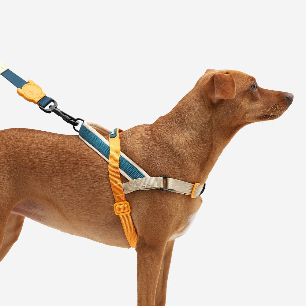 Zeedog Anti-Pull Harness